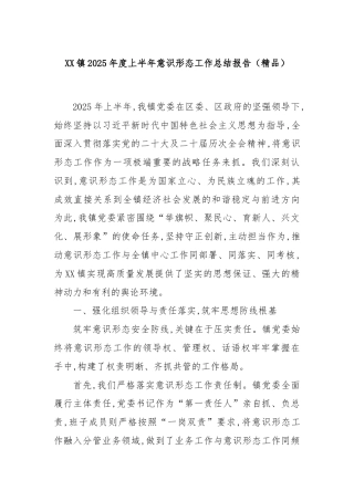 XX镇2025年度上半年意识形态工作总结报告（精品）
