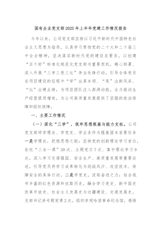 国有企业党支部2025年上半年党建工作情况报告