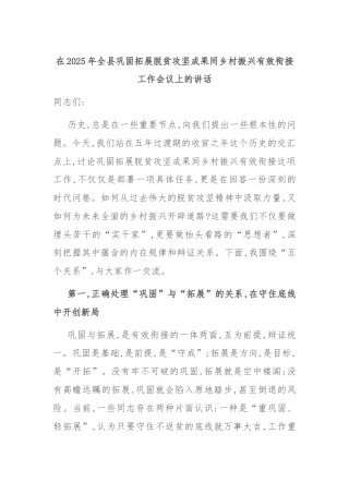 在2025年全县巩固拓展脱贫攻坚成果同乡村振兴有效衔接工作会议上的讲话