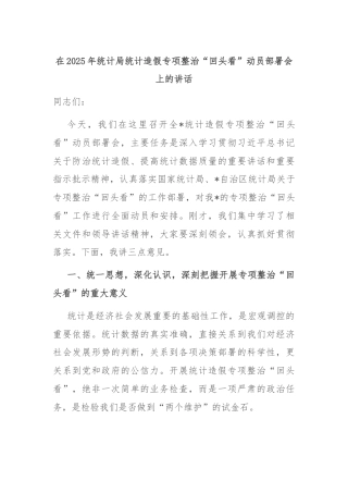 在2025年统计局统计造假专项整治“回头看”动员部署会上的讲话