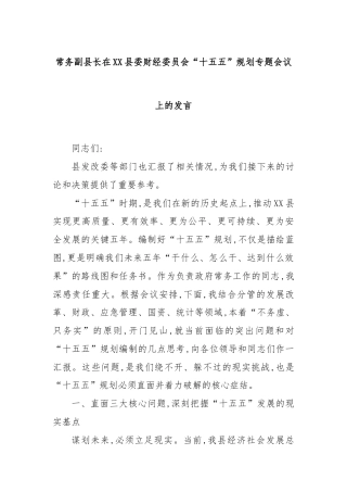 常务副县长在XX县委财经委员会“十五五”规划专题会议上的发言