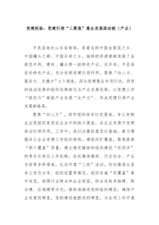 党建经验：党建引领“三聚焦”惠企发展添动能（产业）