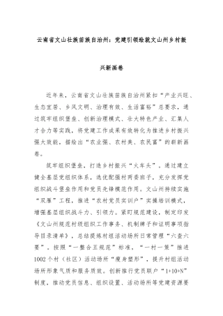 云南省文山壮族苗族自治州：党建引领绘就文山州乡村振兴新画卷