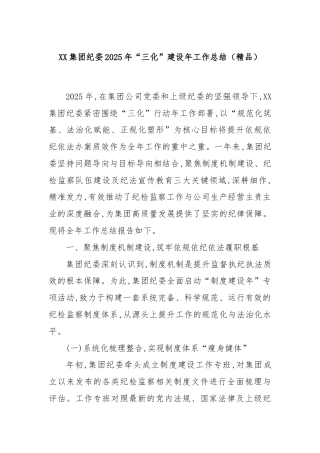 XX集团纪委2025年“三化”建设年工作总结（精品）