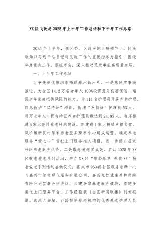 XX区民政局2025年上半年工作总结和下半年工作思路