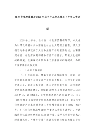 XX市文化和旅游局2025年上半年工作总结及下半年工作计划