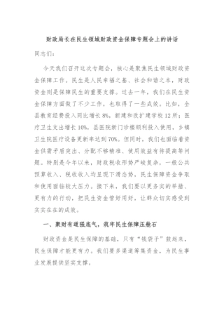 财政局长在民生领域财政资金保障专题会上的讲话