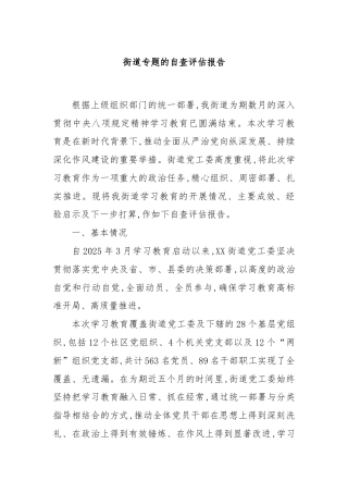 街道专题的自查评估报告