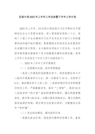 区统计局2025年上半年工作总结暨下半年工作计划