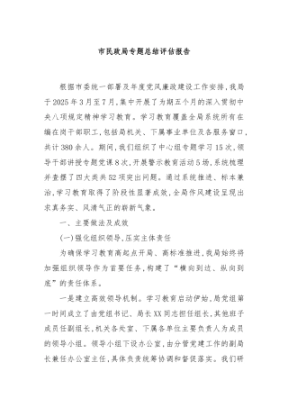 市民政局专题总结评估报告