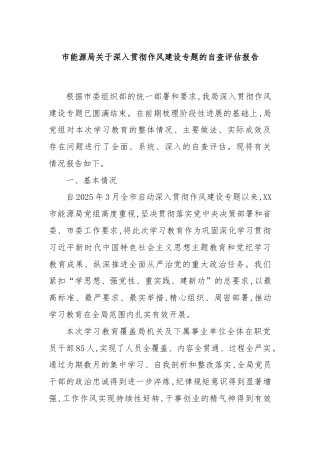 市能源局关于深入贯彻作风建设专题的自查评估报告