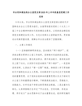 市水利和湖泊局办公室党支部2025年上半年抓基层党建工作总结