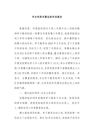 市水利局专题总结评估报告