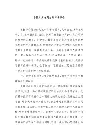市统计局专题总结评估报告