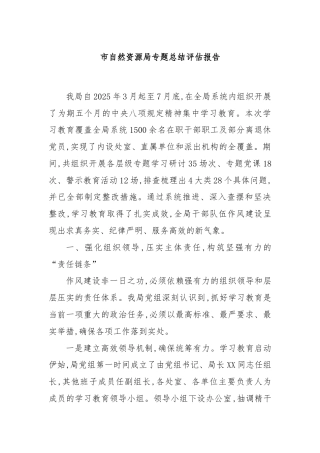 市自然资源局专题总结评估报告