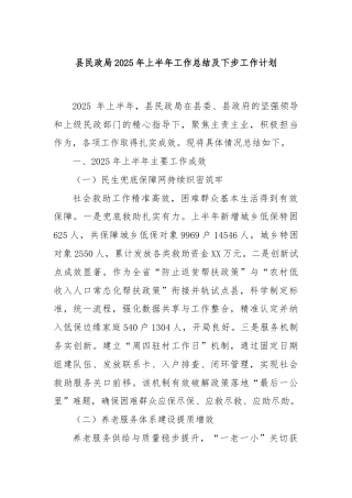 县民政局2025年上半年工作总结及下步工作计划
