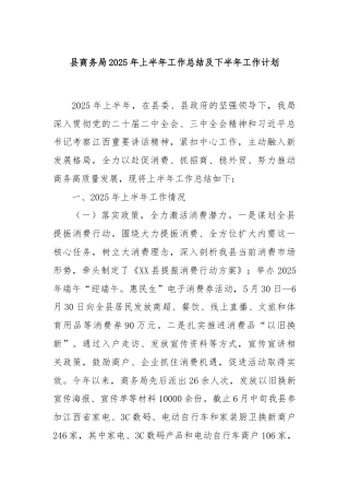 县商务局2025年上半年工作总结及下半年工作计划
