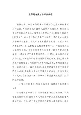 医保局专题总结评估报告