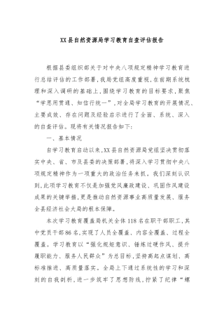 XX县自然资源局学习教育自查评估报告