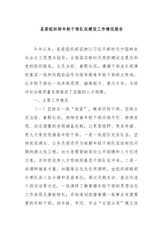 县委组织部年轻干部队伍建设工作情况报告