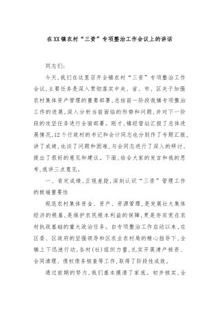 在XX镇农村“三资”专项整治工作会议上的讲话