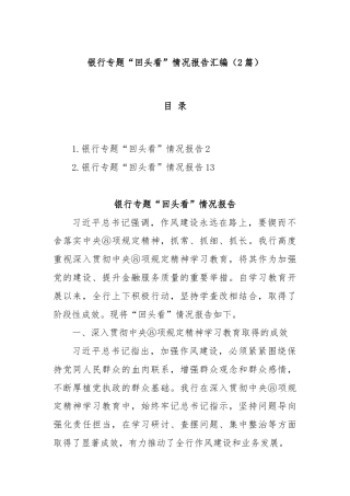 (2篇)银行专题“回头看”情况报告汇编