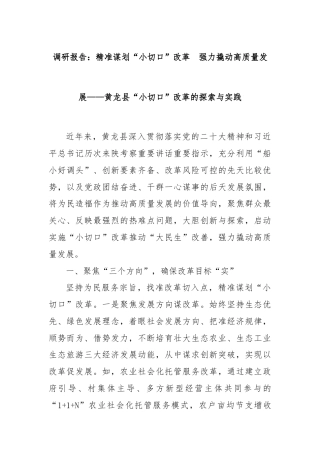 调研报告：精准谋划“小切口”改革  强力撬动高质量发展——黄龙县“小切口”改革的探索与实践