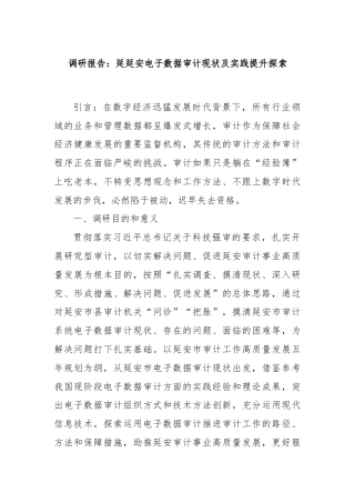 调研报告：延延安电子数据审计现状及实践提升探索