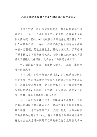 公司纪委纪检监察“三化”建设年行动工作总结