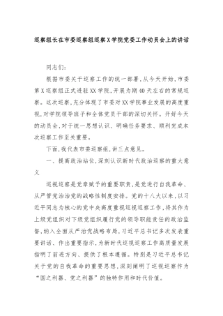 巡察组长在市委巡察组巡察X学院党委工作动员会上的讲话