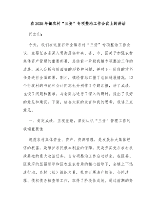 在2025年镇农村“三资”专项整治工作会议上的讲话