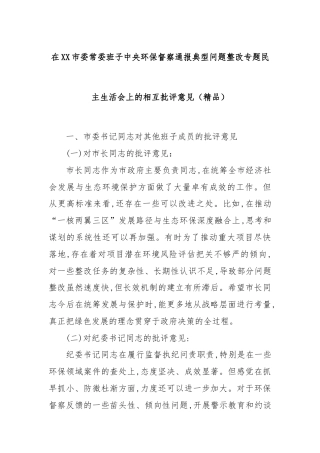 在XX市委常委班子中央环保督察通报典型问题整改专题民主生活会上的相互批评意见（精品）