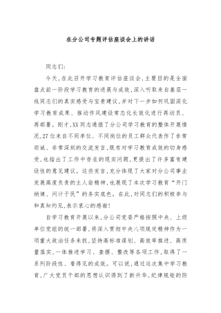 在分公司专题评估座谈会上的讲话