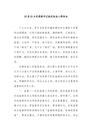 XX县XX乡纪委副书记执纪执法心得体会