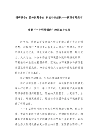 调研报告：坚持问题导向 积极补齐短板——陕西省延安市破解“一个明显制约”的探索与实践