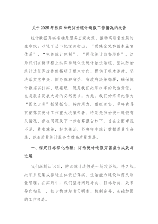 关于2025年纵深推进防治统计造假工作情况的报告