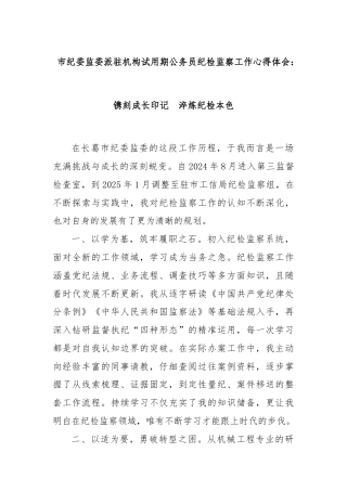 市纪委监委派驻机构试用期公务员纪检监察工作心得体会