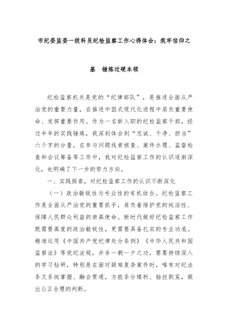市纪委监委一级科员纪检监察工作心得体会：筑牢信仰之基  锤炼过硬本领