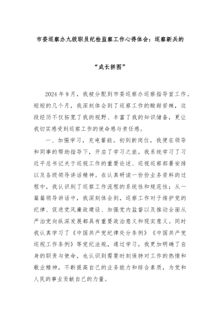 市委巡察办九级职员纪检监察工作心得体会：巡察新兵的“成长拼图”