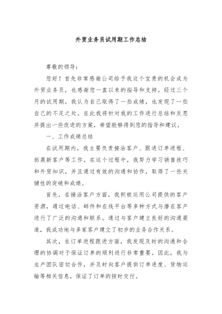 外贸业务员试用期工作总结