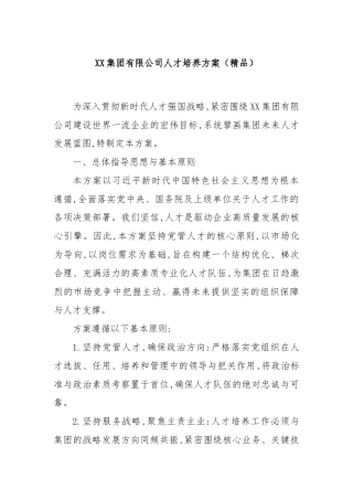 XX集团有限公司人才培养方案（精品）