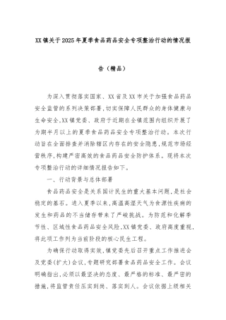 XX镇关于2025年夏季食品药品安全专项整治行动的情况报告（精品）