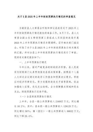 关于X县2025年上半年财政预算执行情况的审查意见