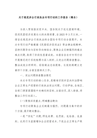 关于规范涉企行政执法专项行动的工作报告（精品）