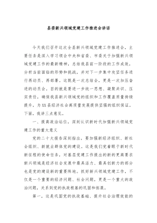 县委新兴领域党建工作推进会讲话