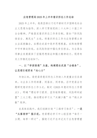 应急管理局2025年上半年意识形态工作总结
