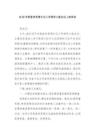 在XX市委宣传思想文化工作领导小组会议上的讲话