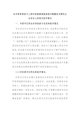 在市委常委班子上级环保督察通报典型问题整改专题民主生活会上的相互批评意见