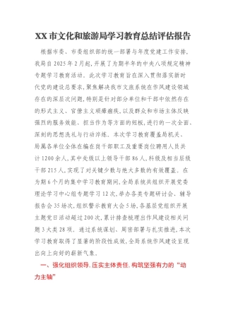 XX市文化和旅游局学习教育总结评估报告