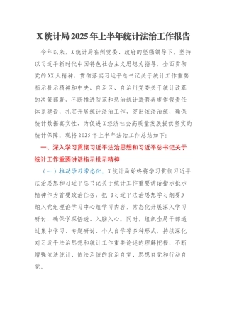 X统计局2025年上半年统计法治工作报告